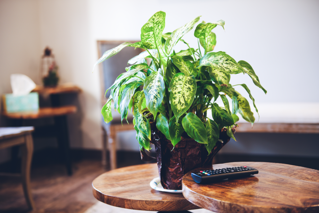 Contact Us Wagner Family Dental